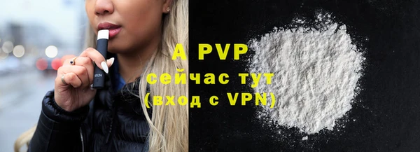 винт Осташков