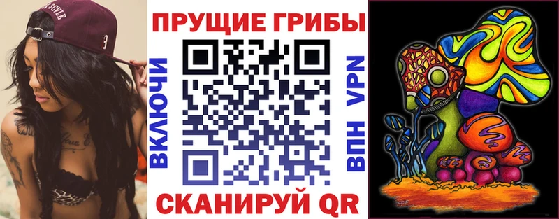 Псилоцибиновые грибы Magic Shrooms  наркотики  маркетплейс формула  Белоусово 